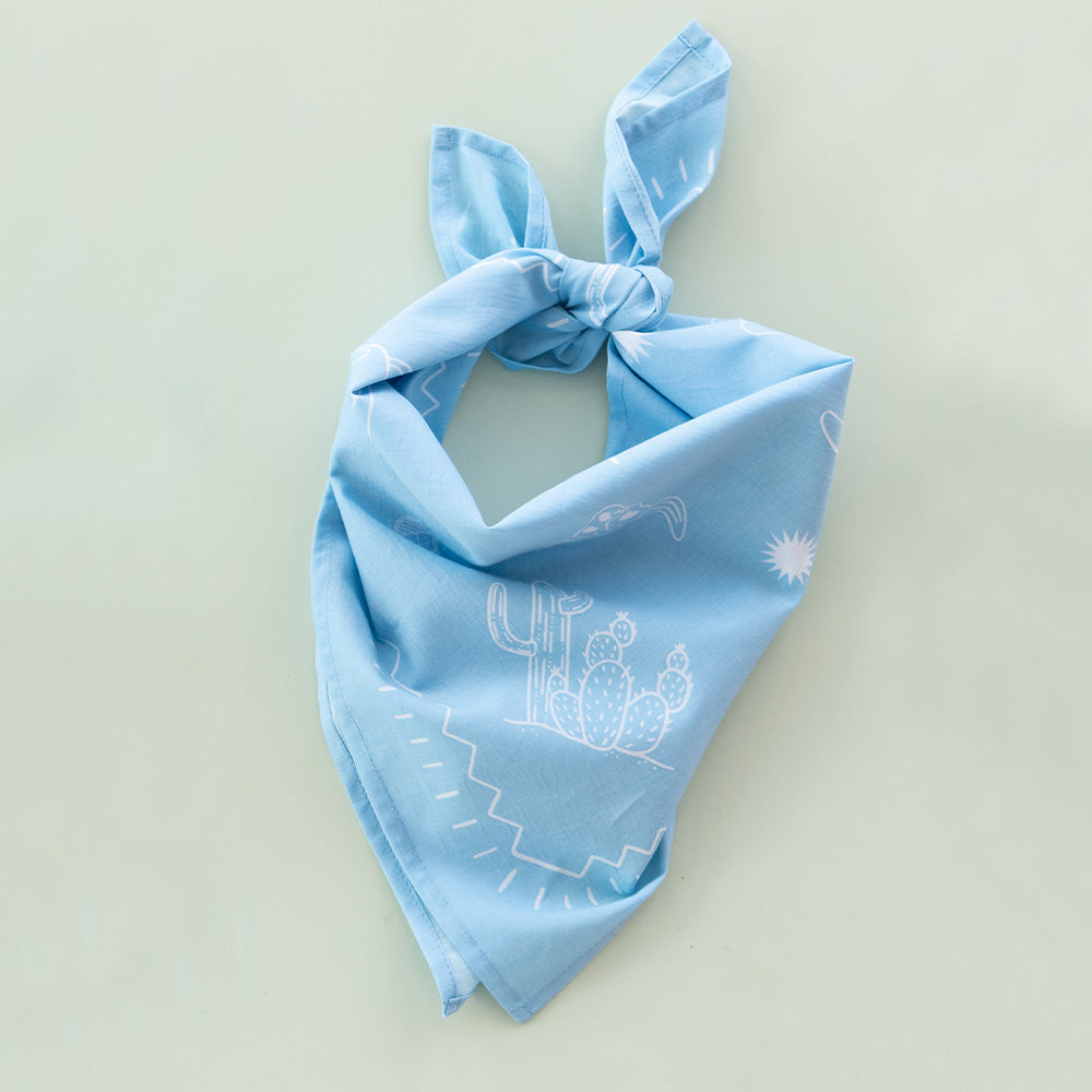 Texas Sky Bandana